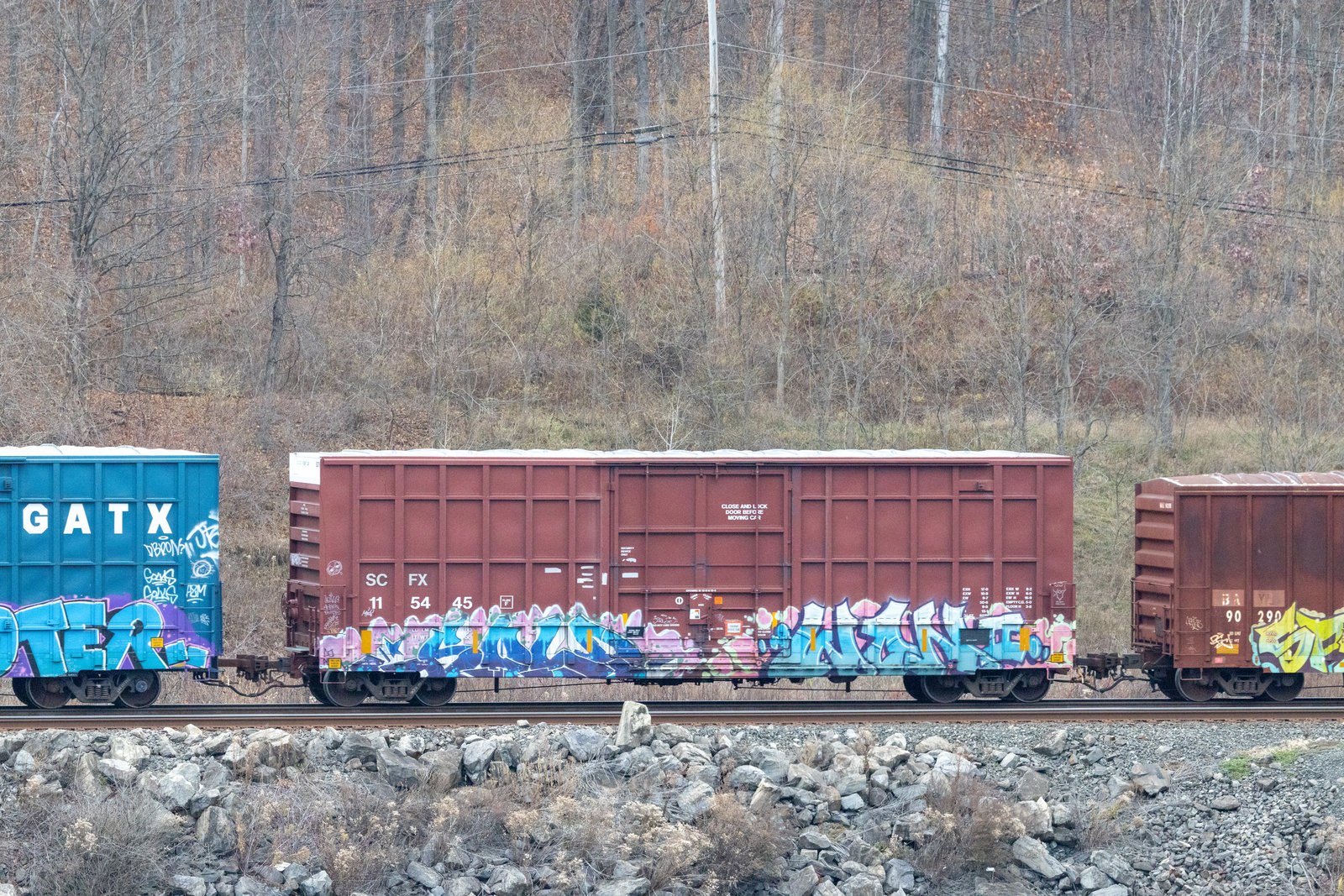 SCFX 115445