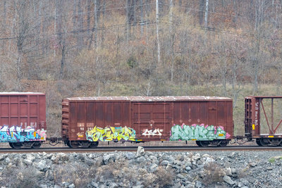 BAYL 90290