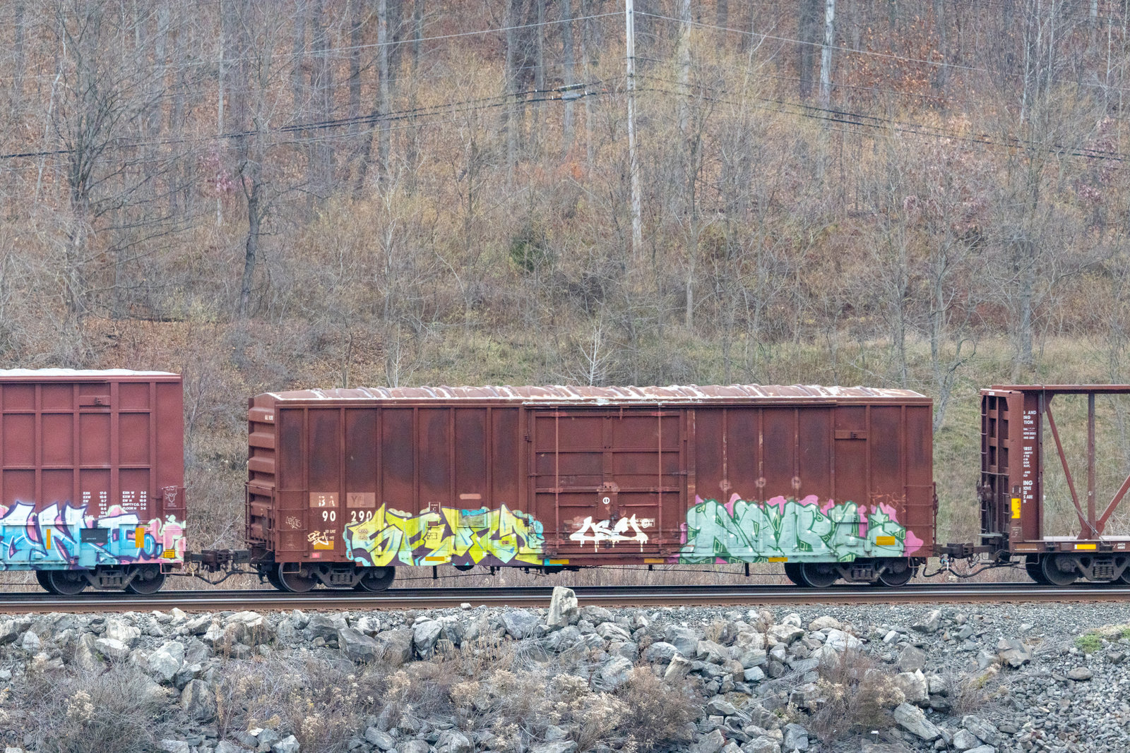 BAYL 90290