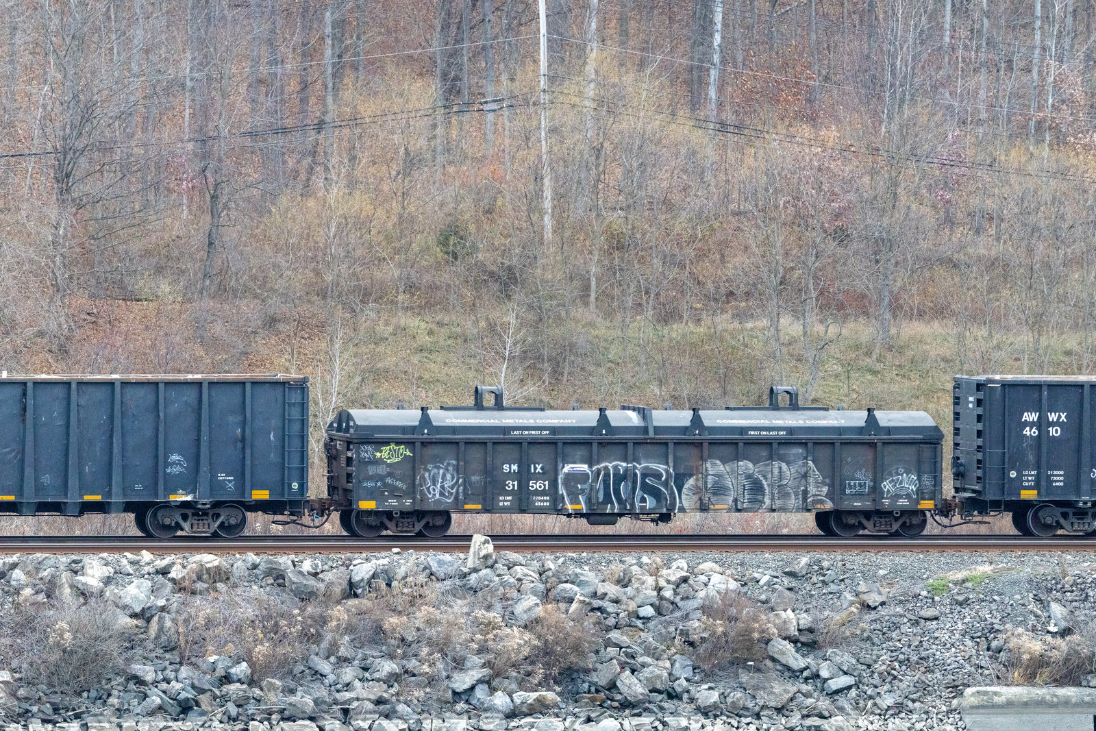 SMIX 31561