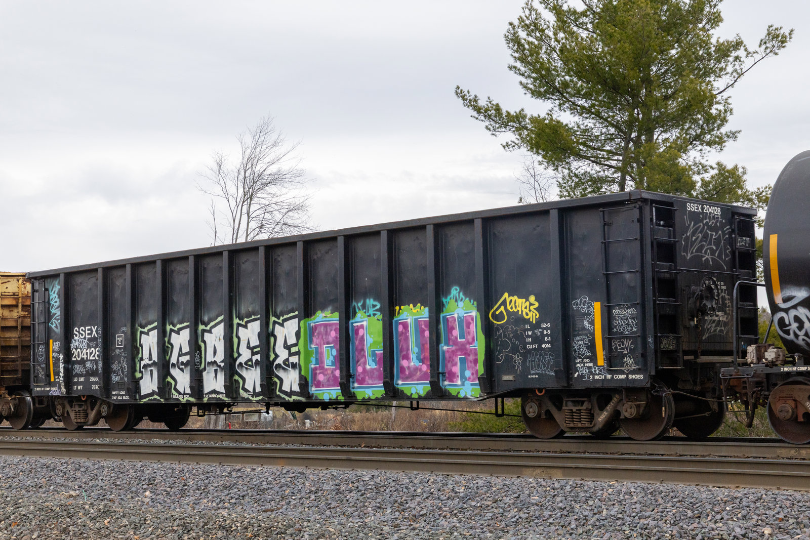 SSEX 204128