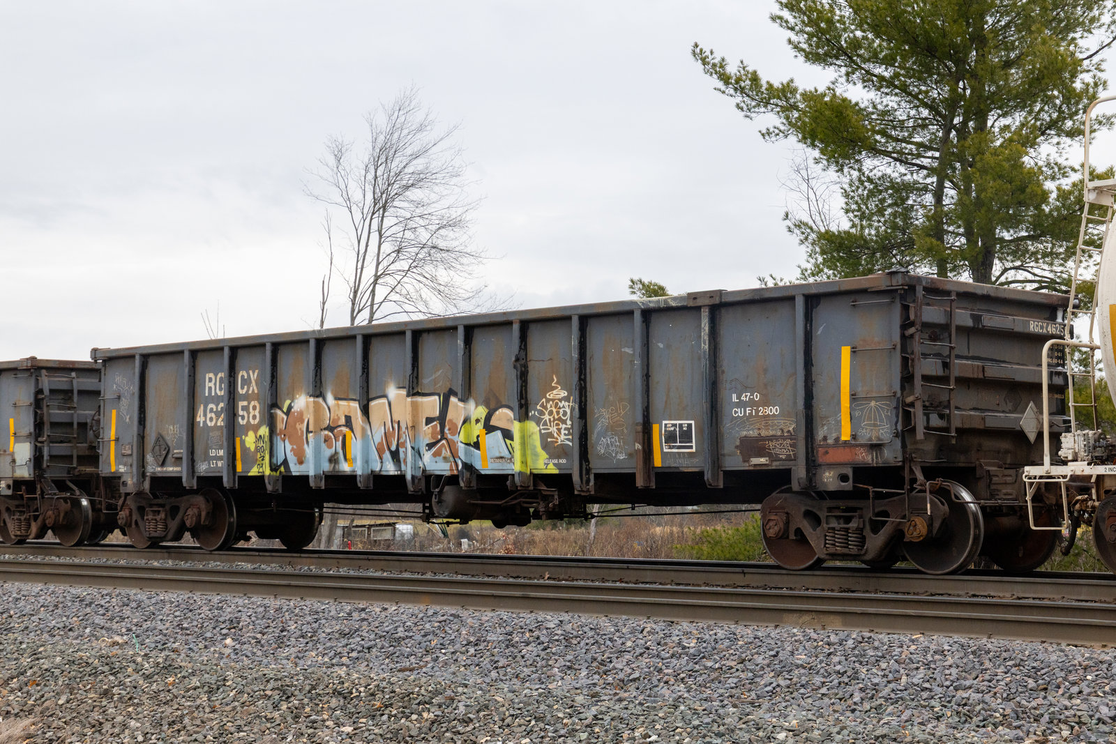 RGCX 46258