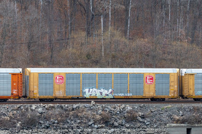 TTGX 695714