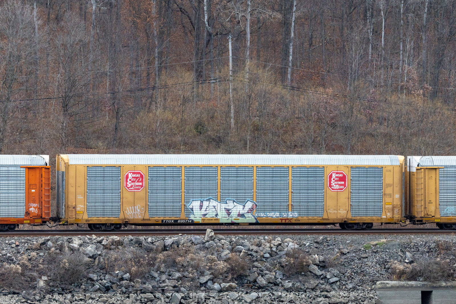 TTGX 695714