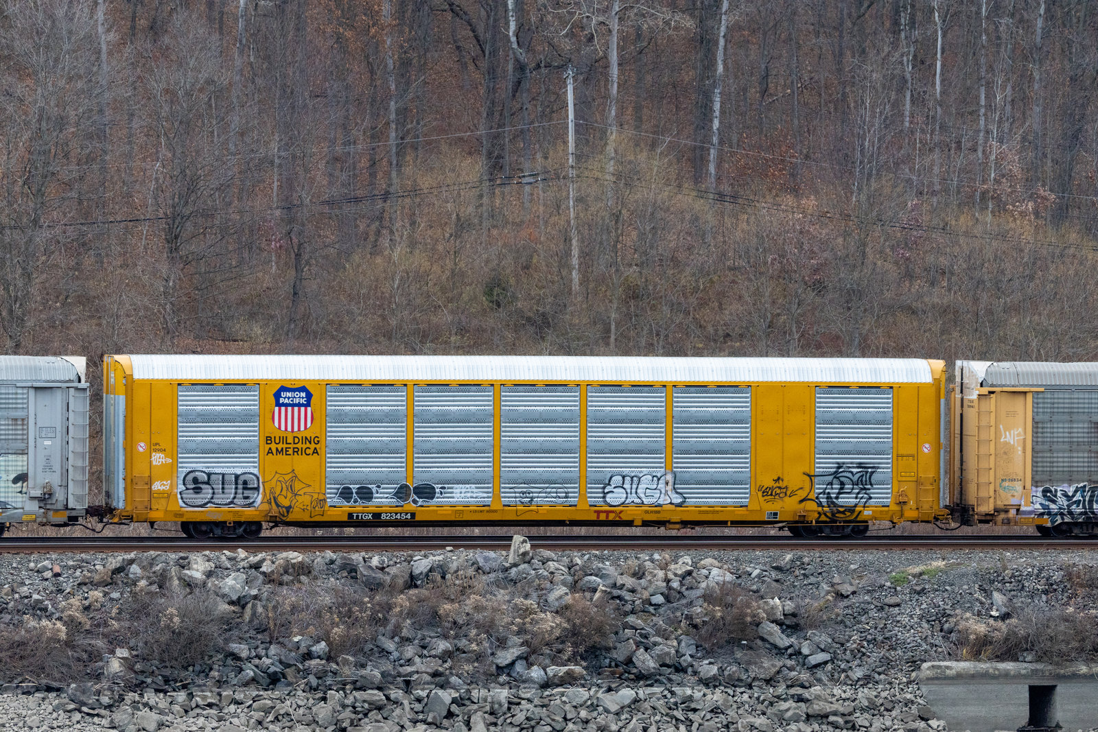 TTGX 823454