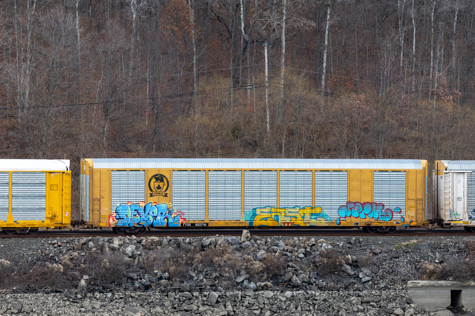 TTGX 822716