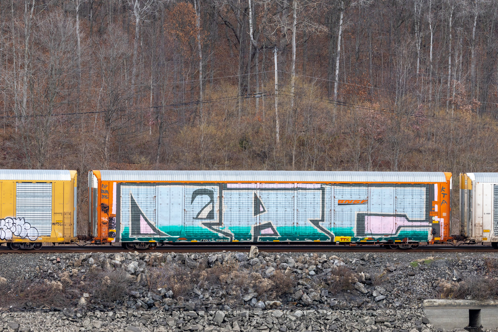 TTGX 696181