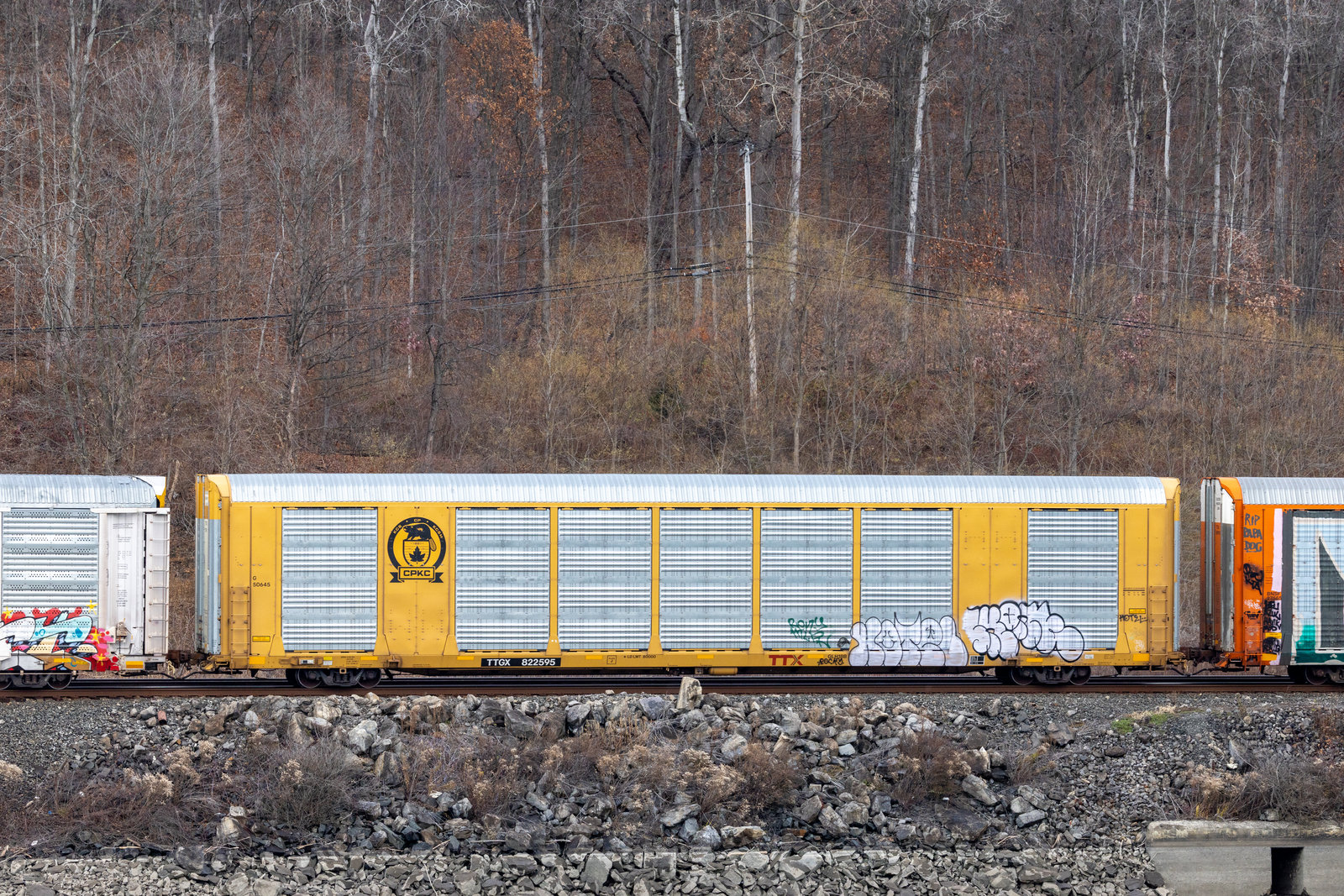 TTGX 822595