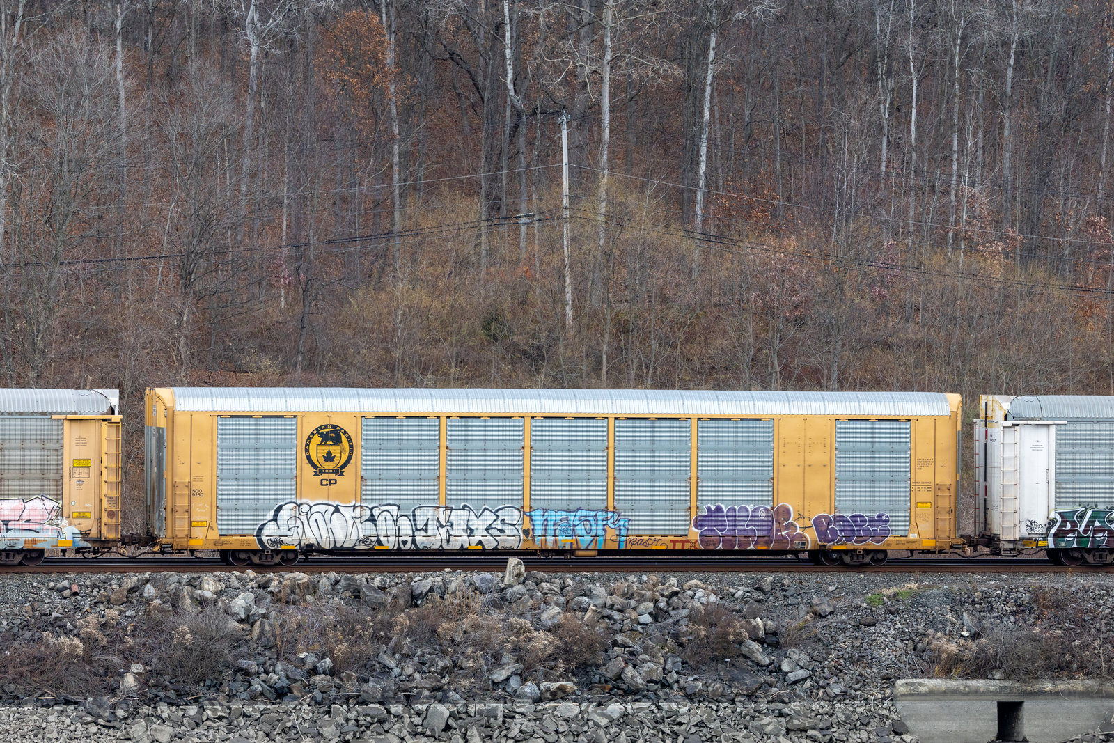 TTGX 697962