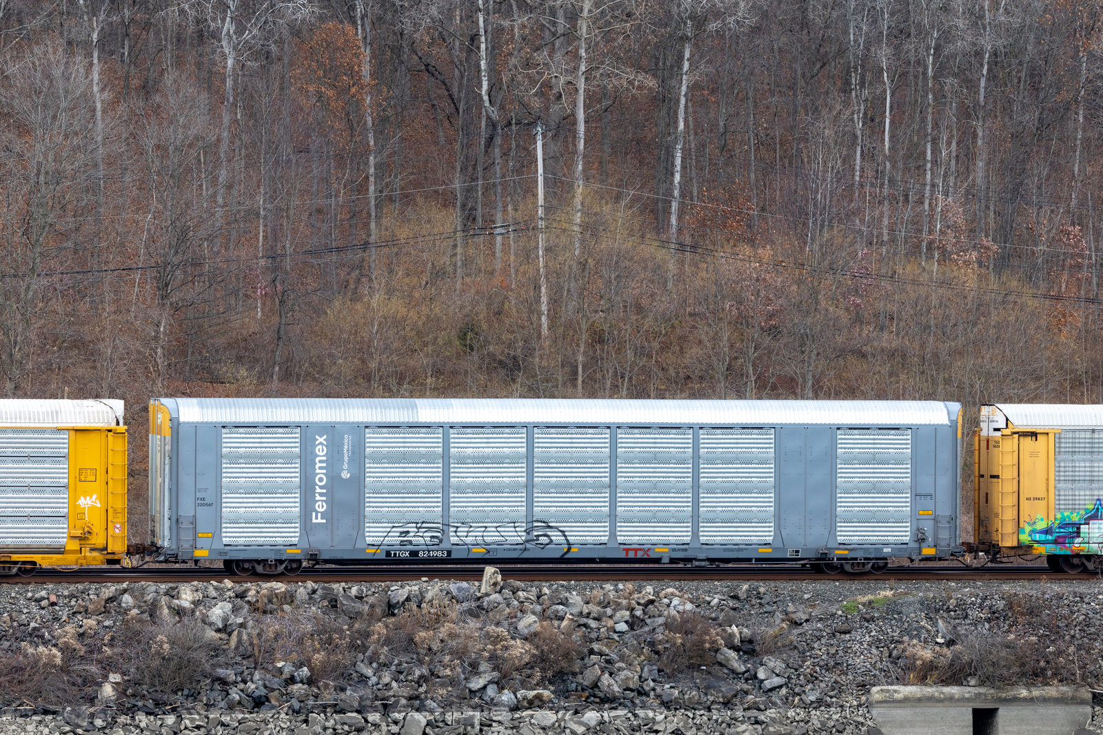 TTGX 824983
