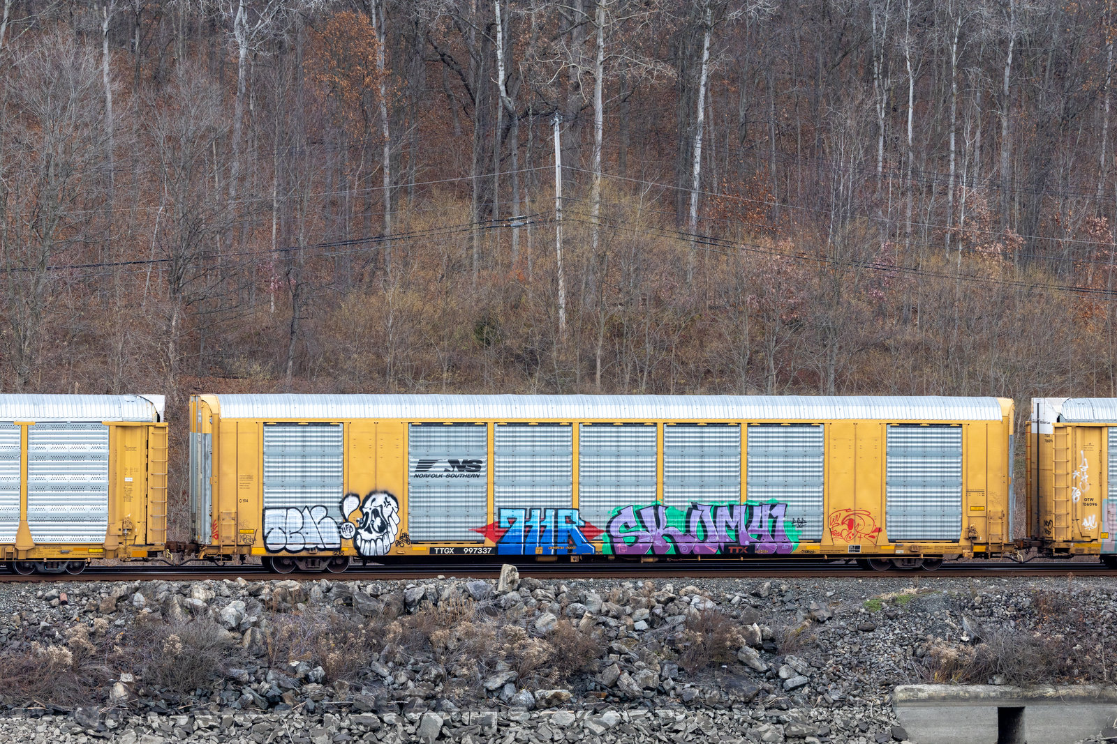 TTGX 997337