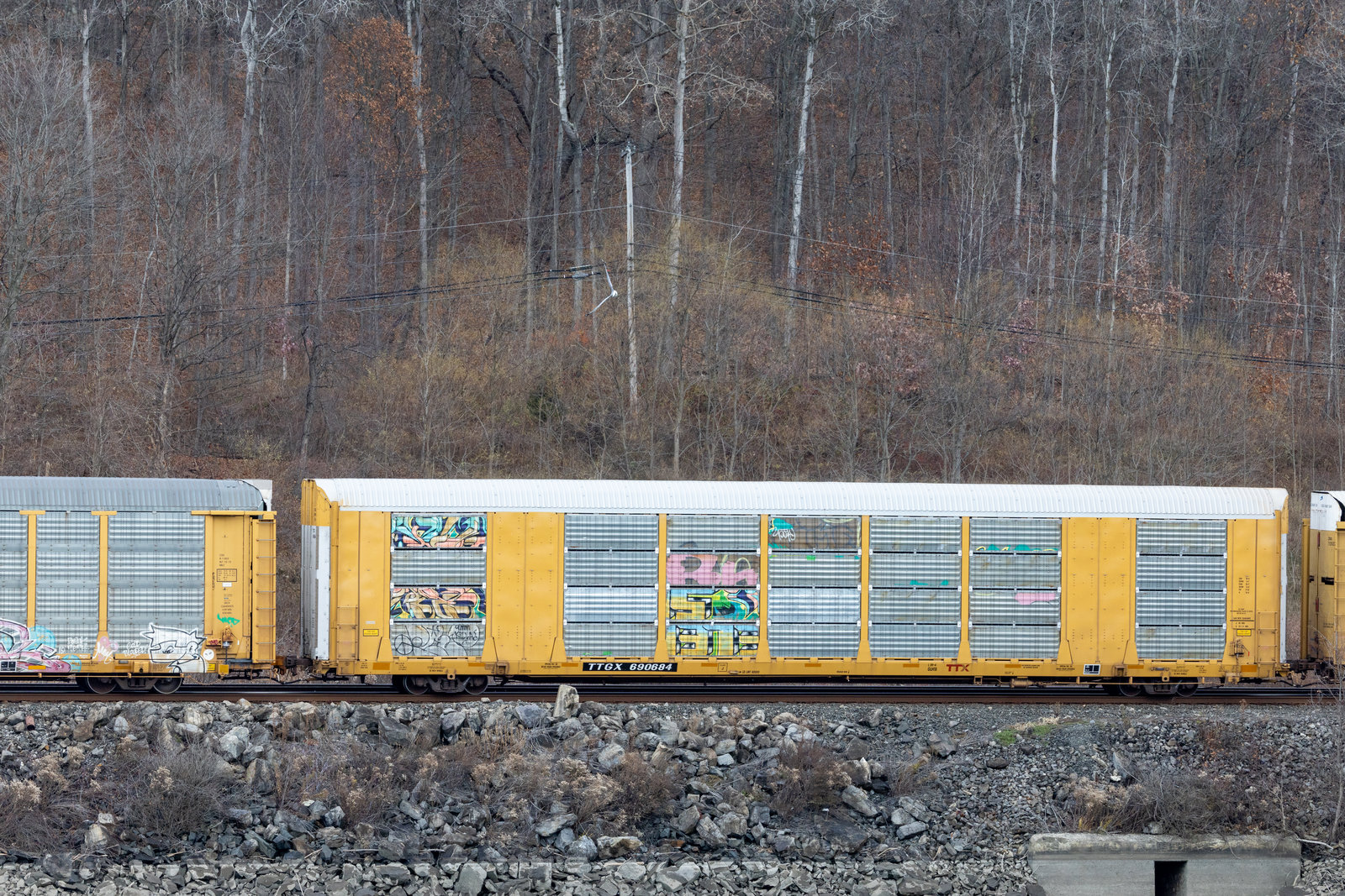 TTGX 690684
