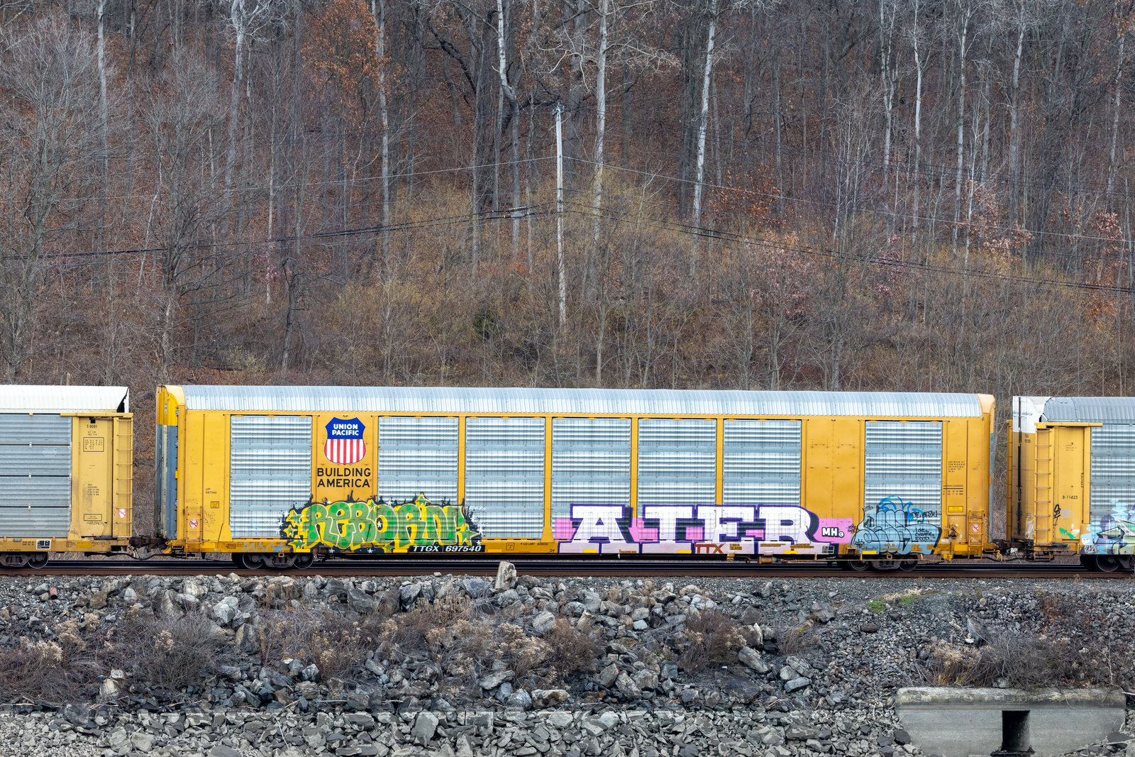 TTGX 697540