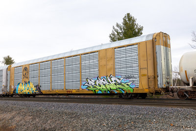 TTGX 822870