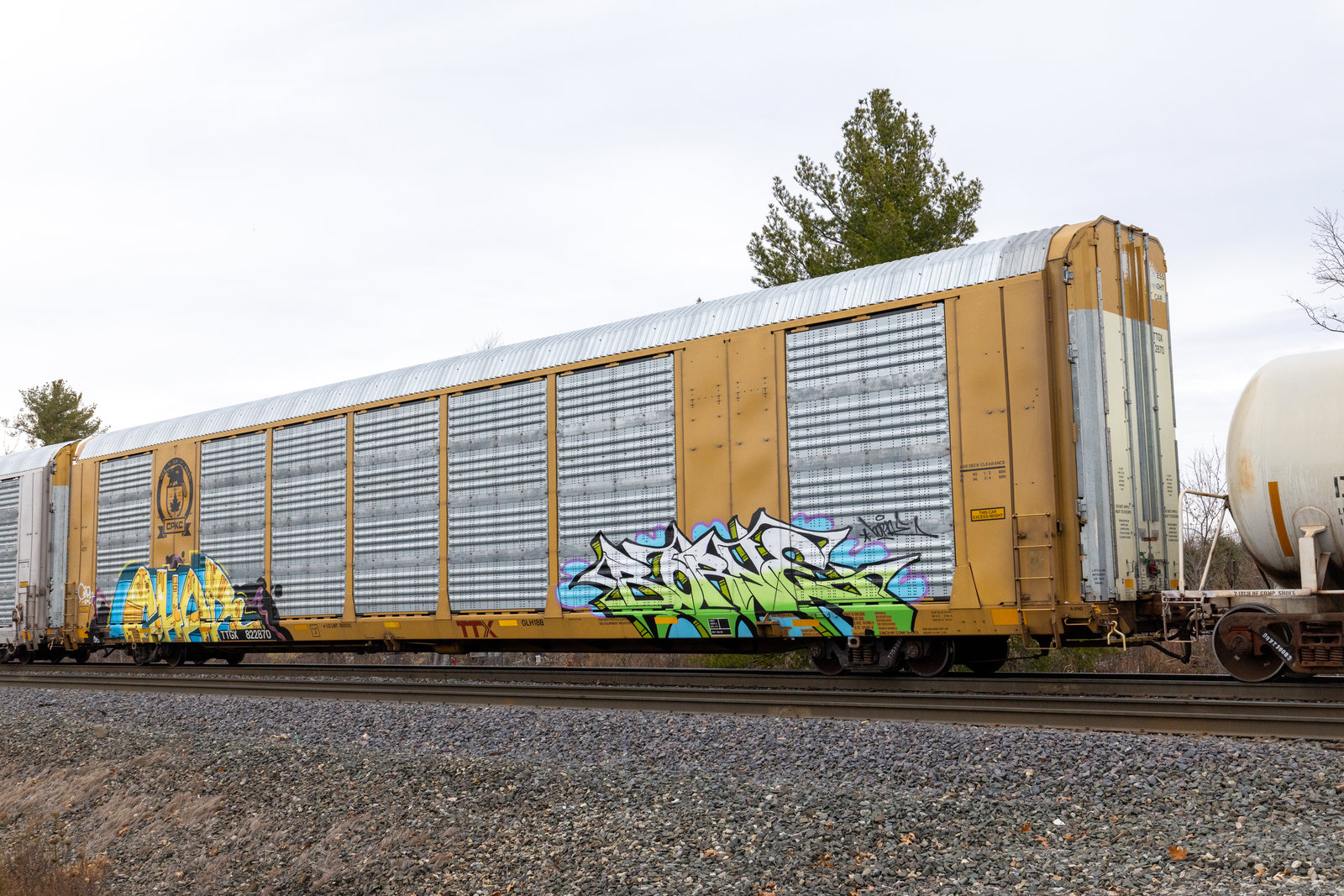 TTGX 822870
