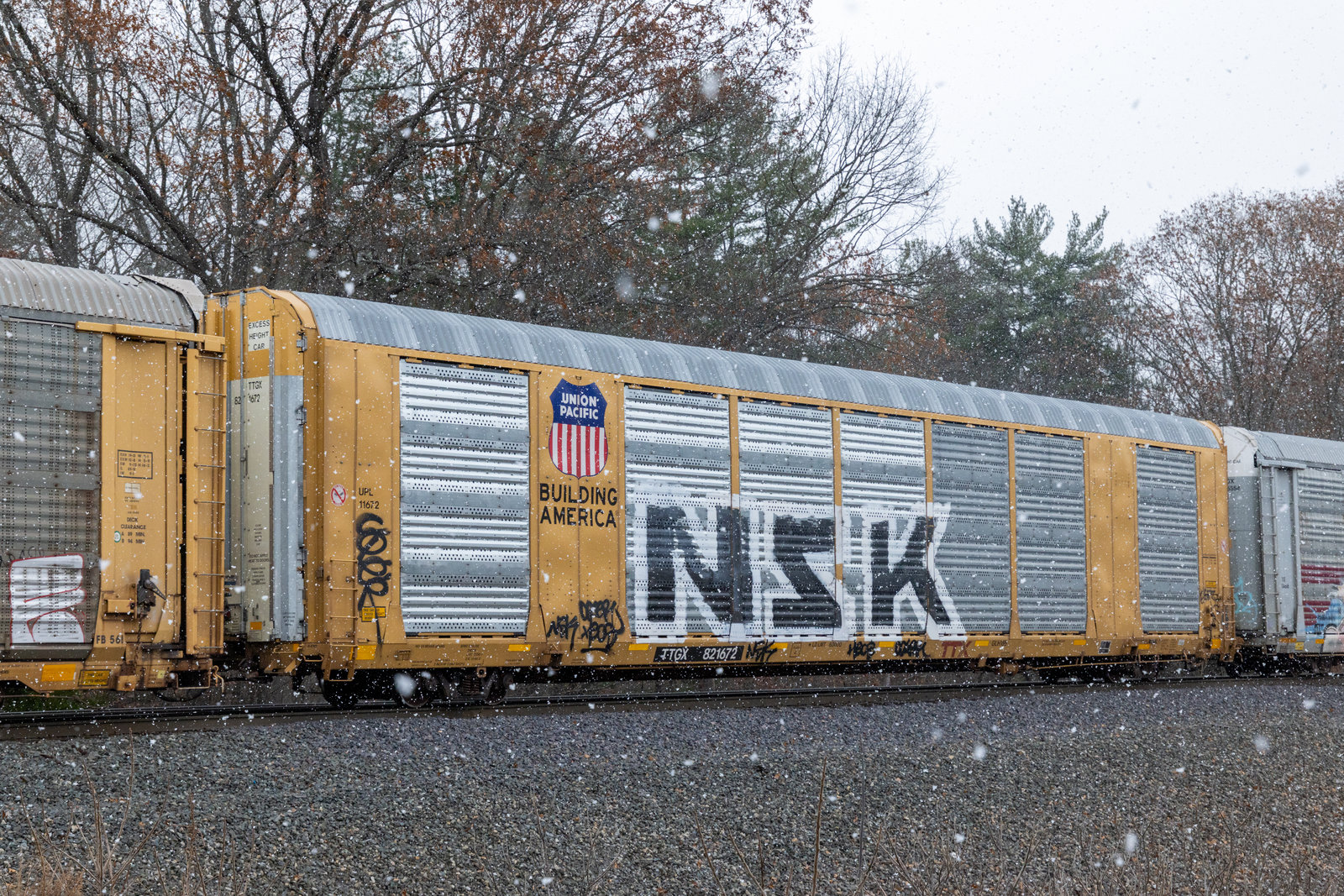 TTGX 821672