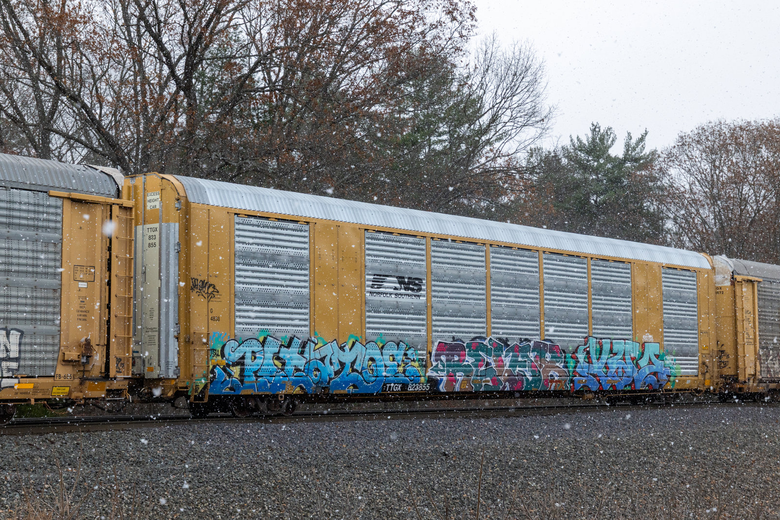 TTGX 823855