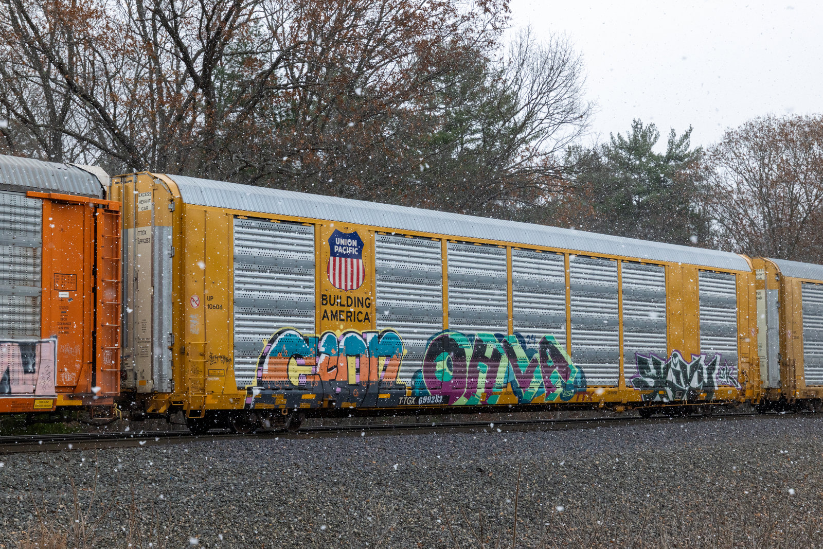 TTGX 699283
