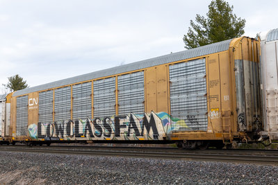 TTGX 694373