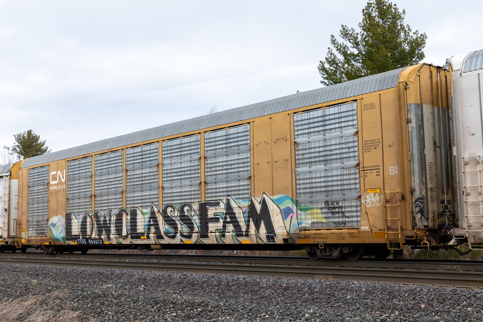 TTGX 694373