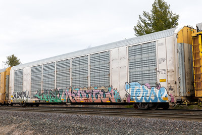 TTGX 698237
