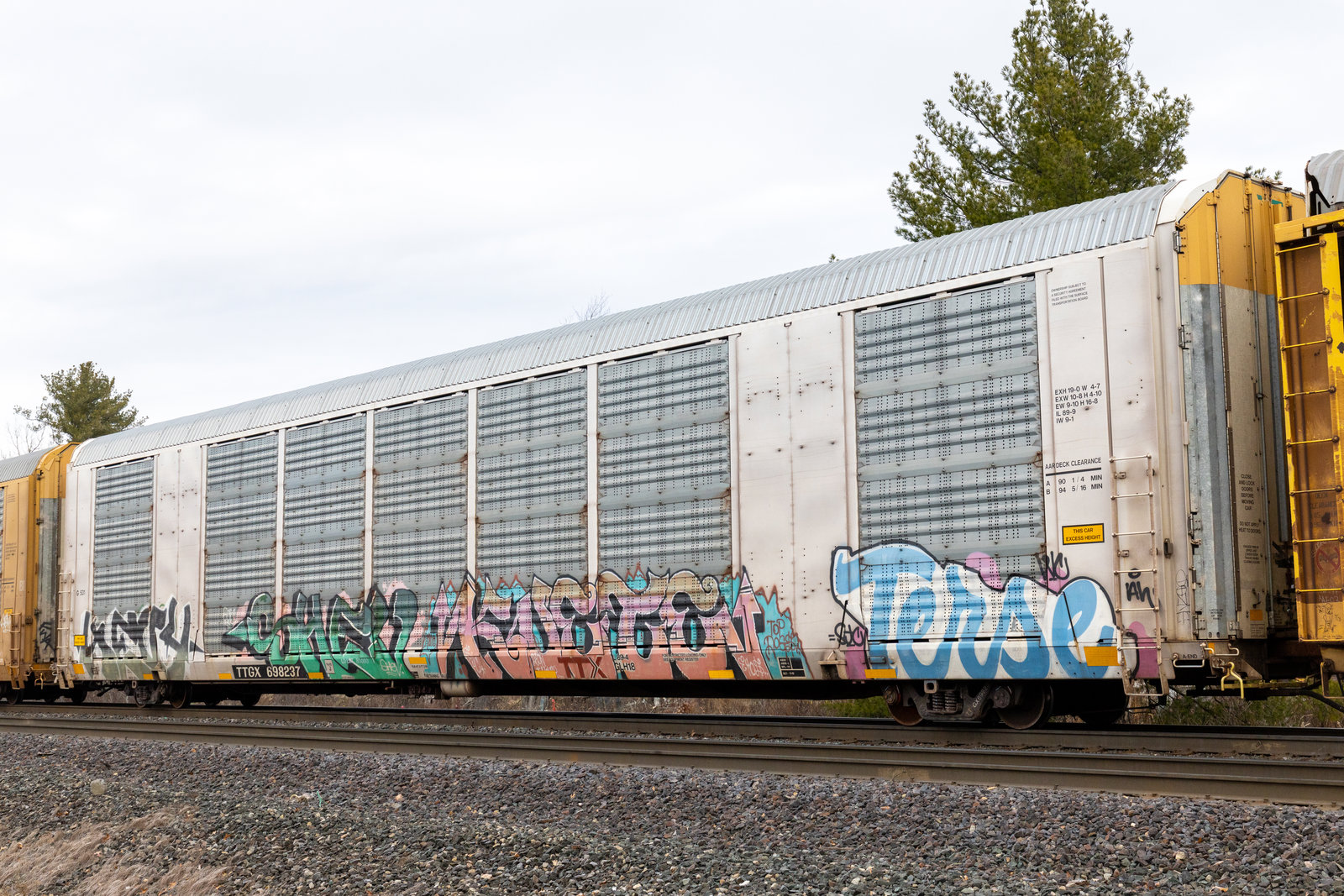 TTGX 698237