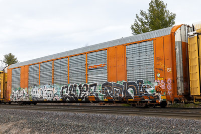 TTGX 693819