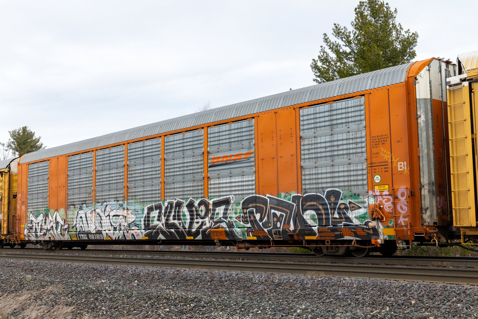TTGX 693819