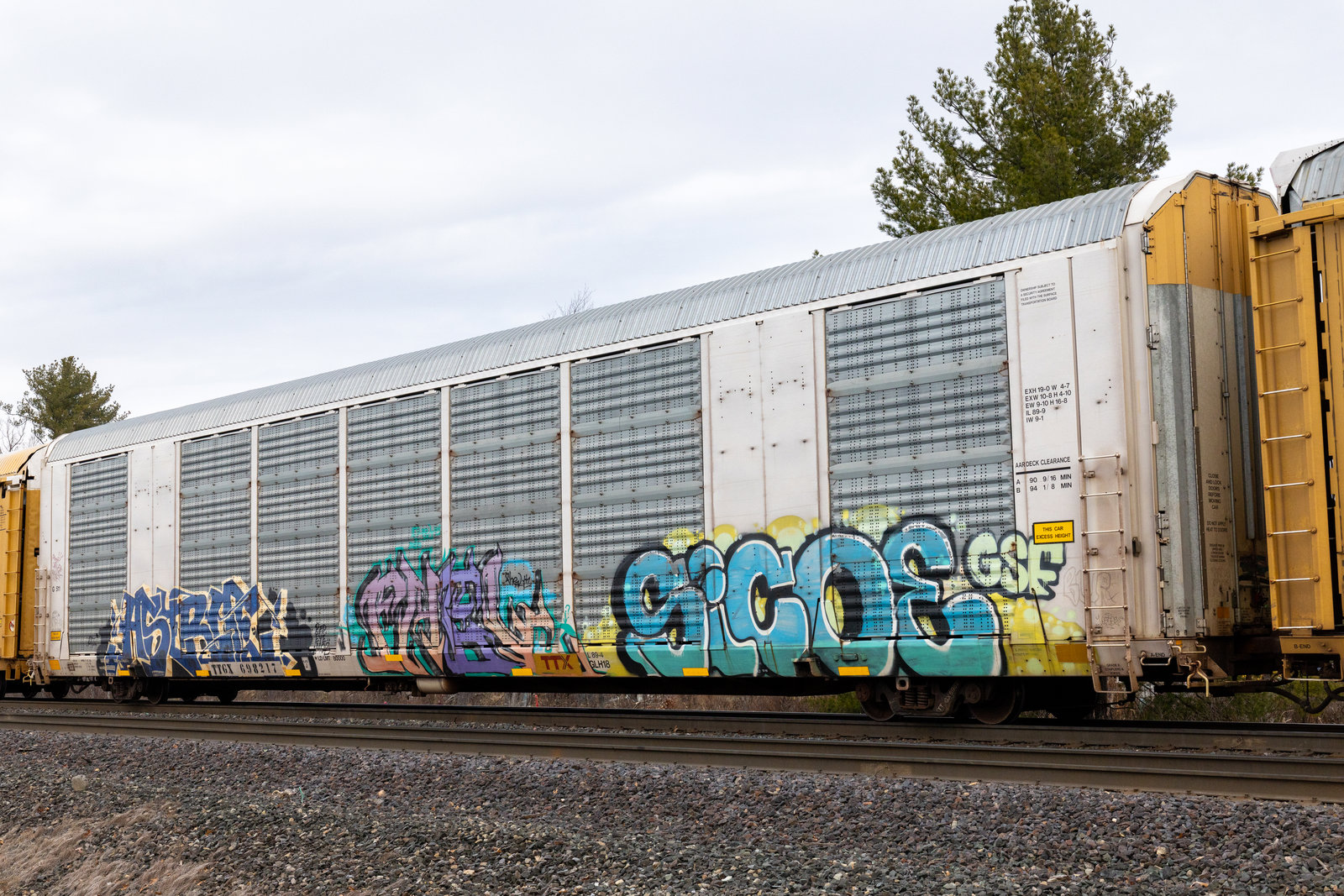 TTGX 698217