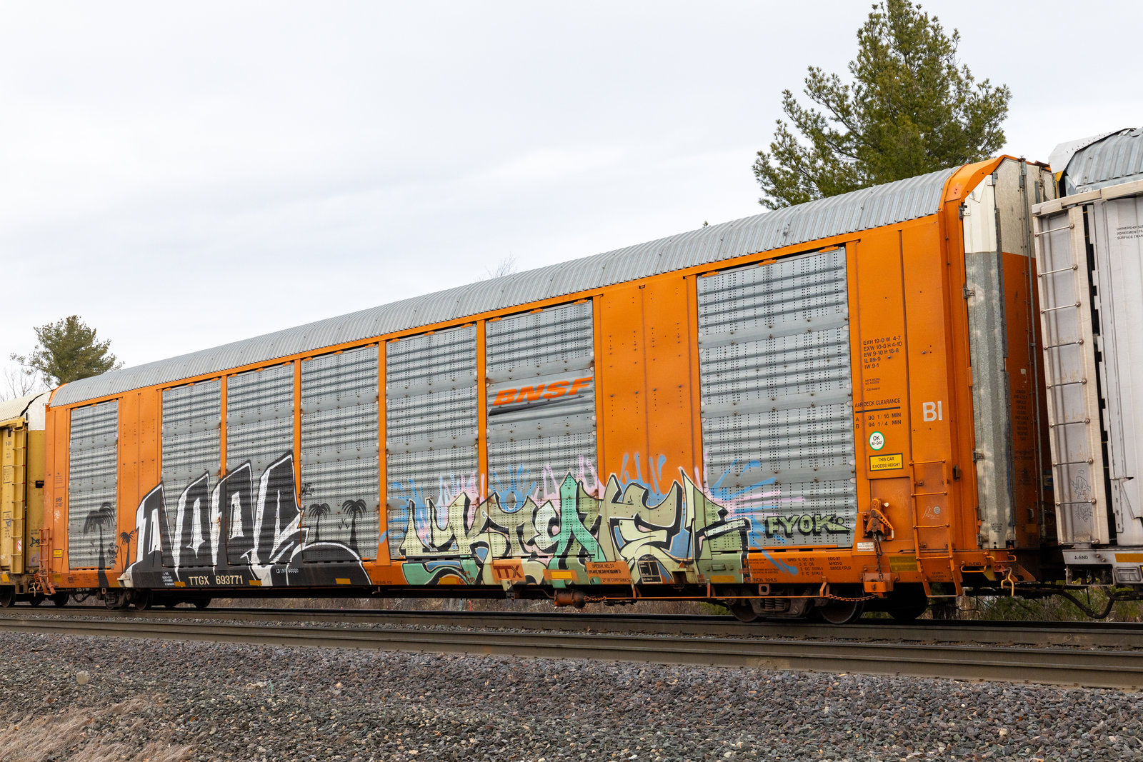TTGX 693771