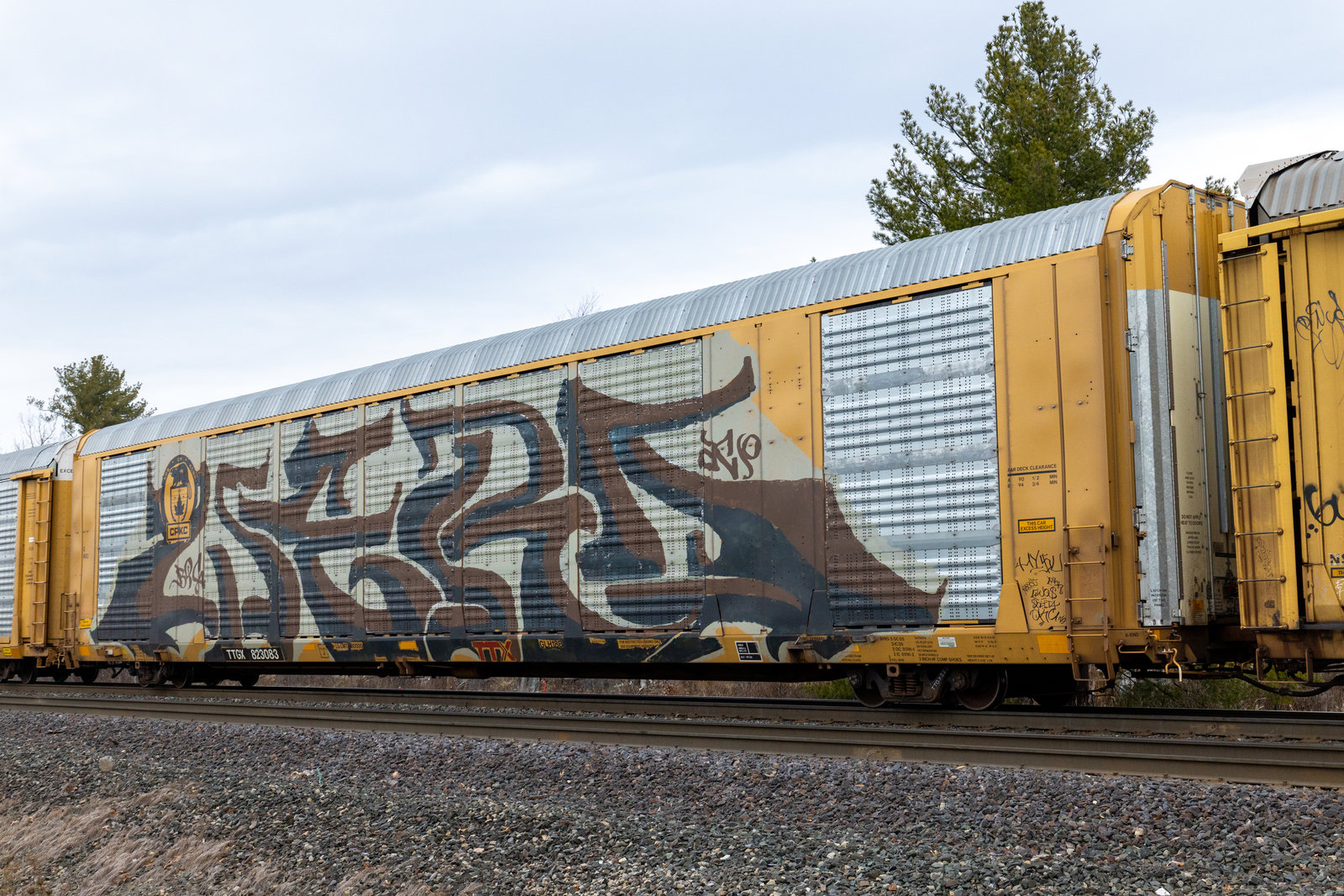 TTGX 823083