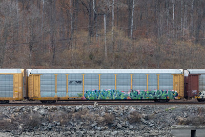 TTGX 707562