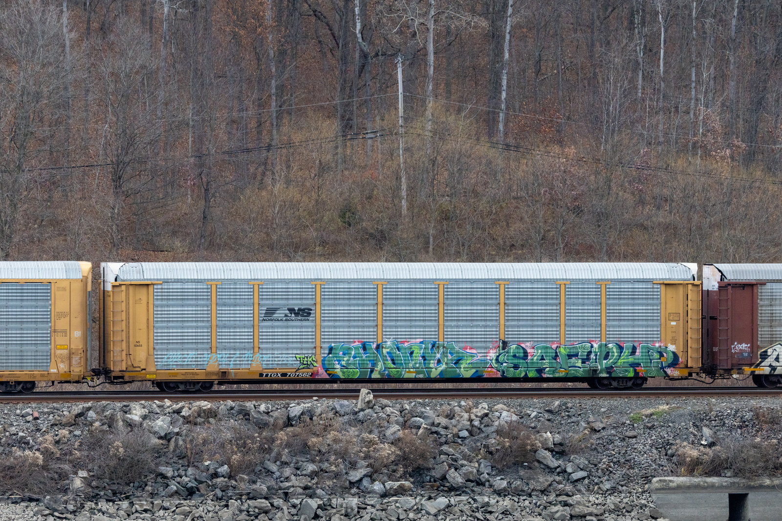 TTGX 707562