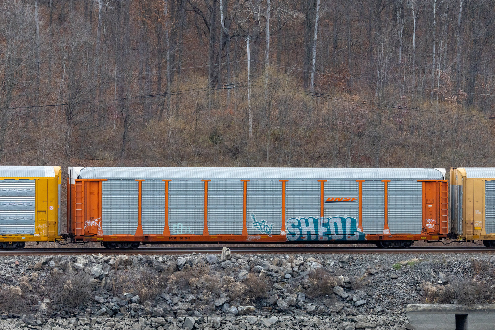 BNSF 301041