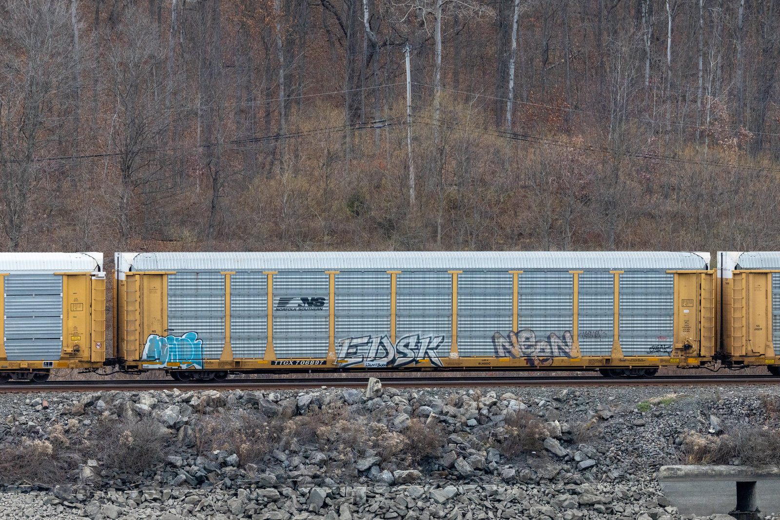 TTGX 706897