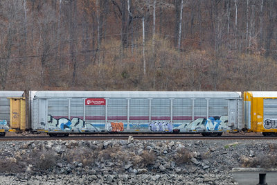 TTGX 705769