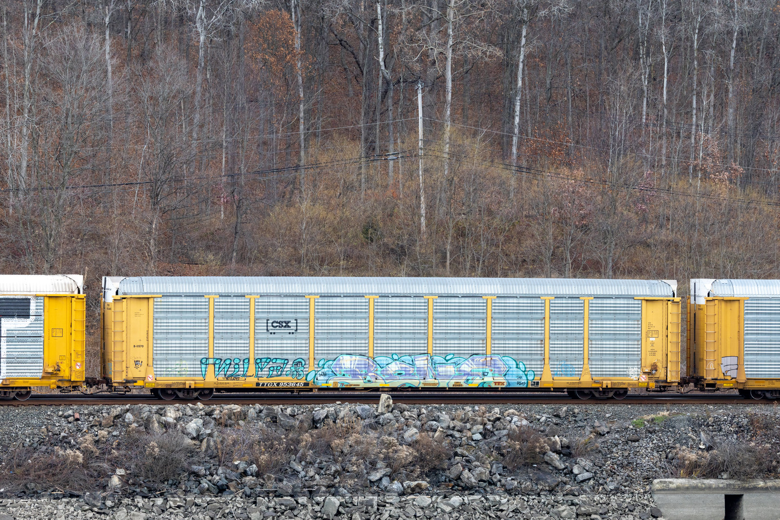 TTGX 953645