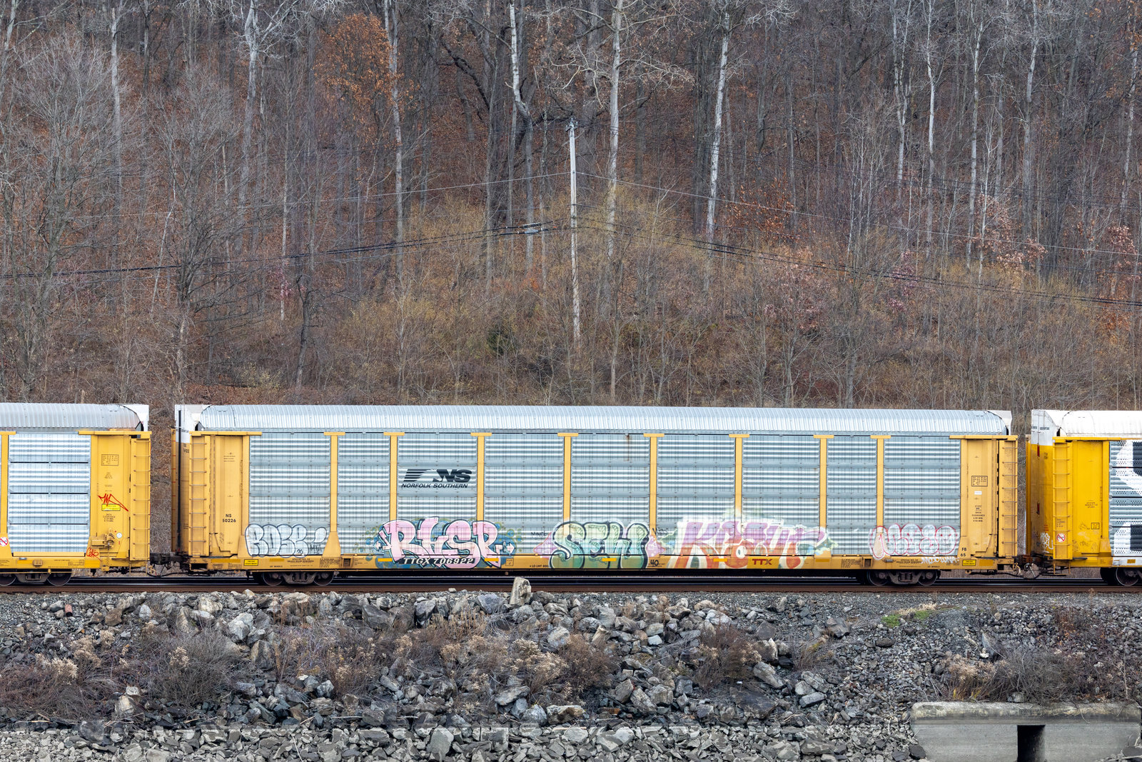 TTGX 706922