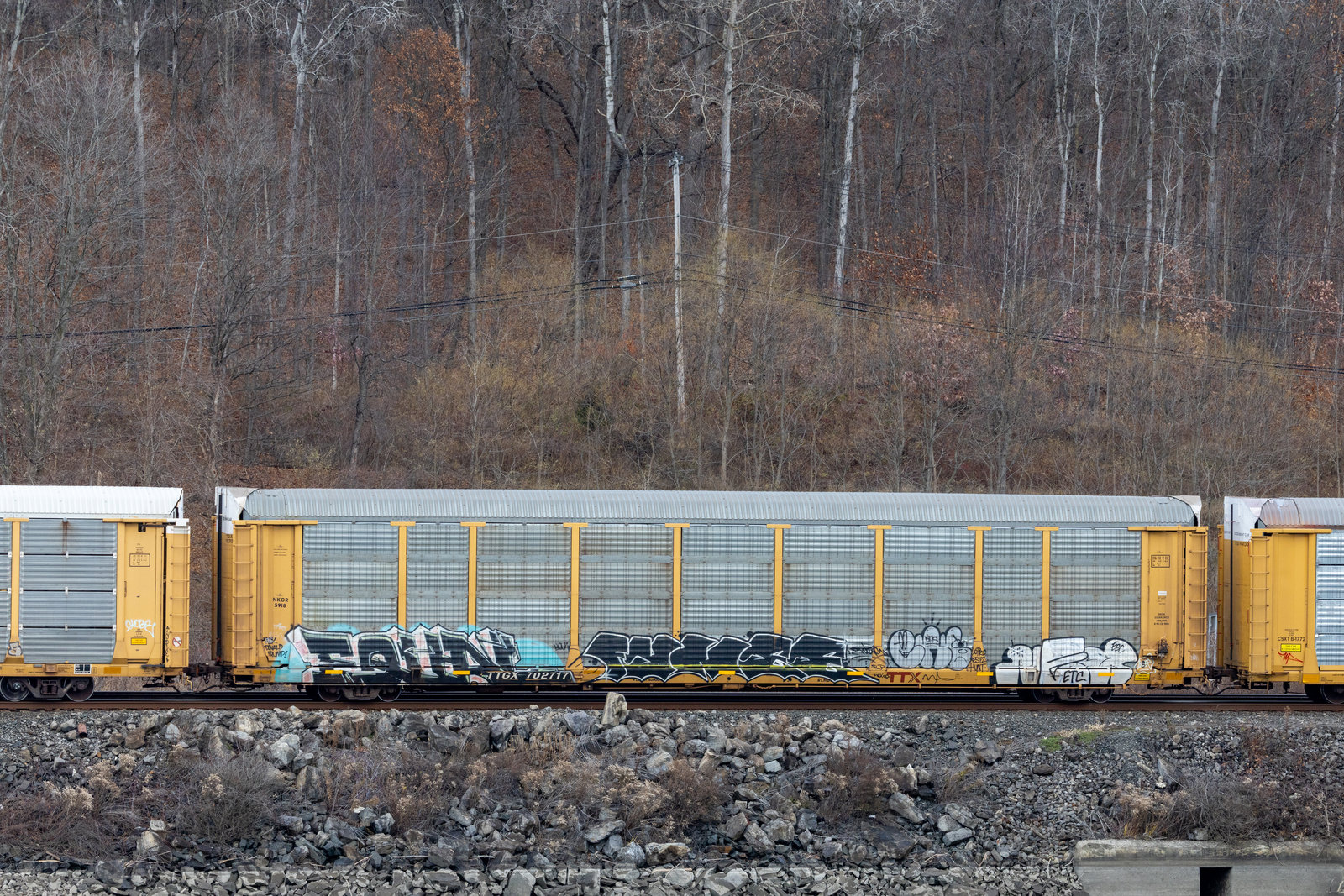 TTGX 702717