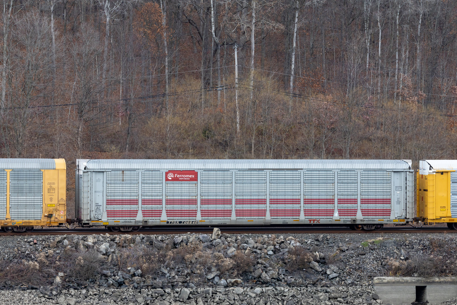 TTGX 706840