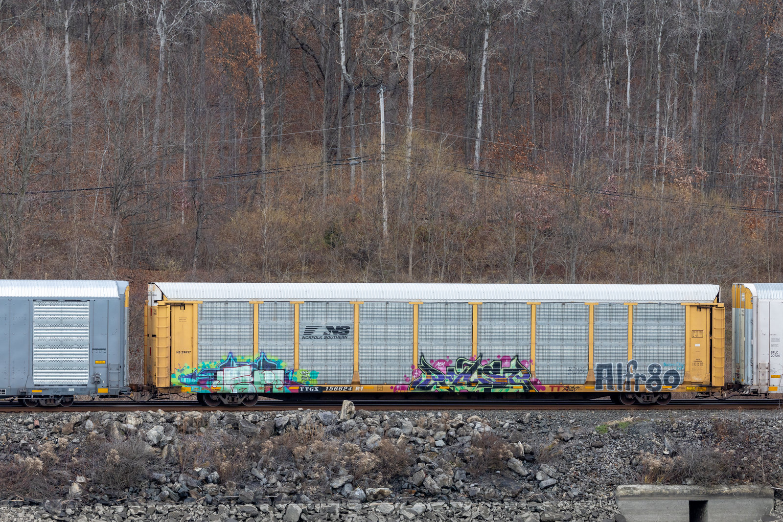 TTGX 156624