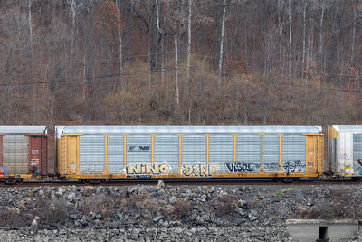 TTGX 707608