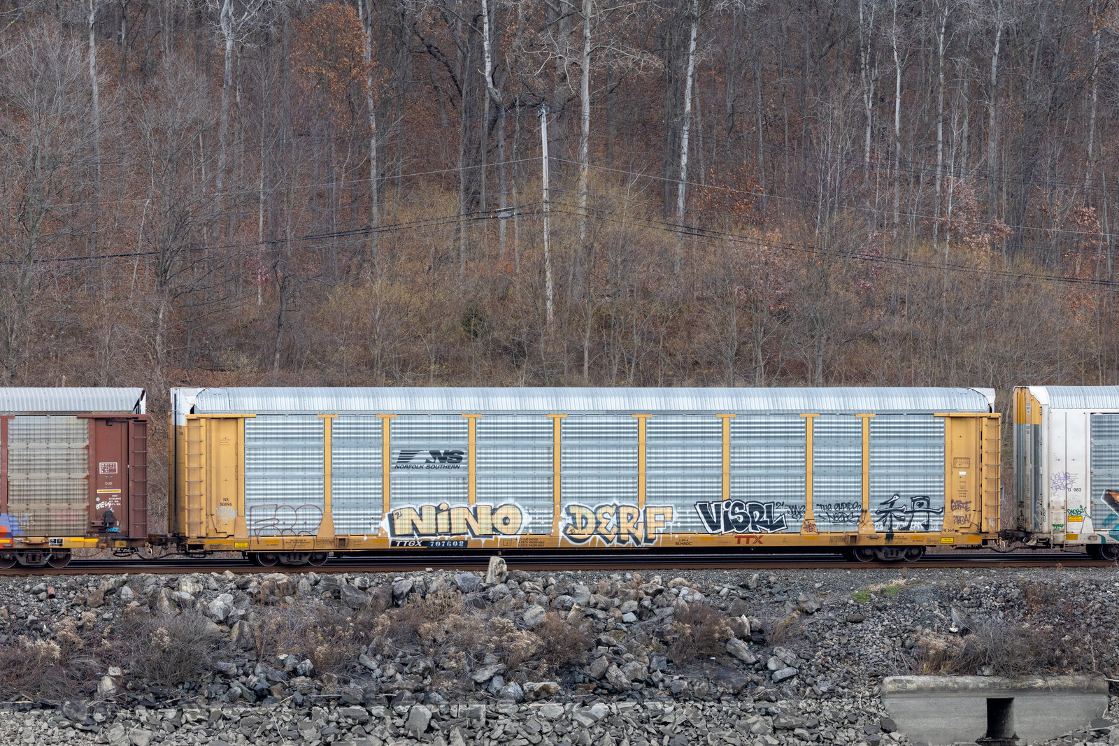 TTGX 707608