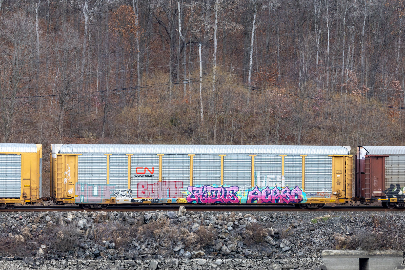 TTGX 706096