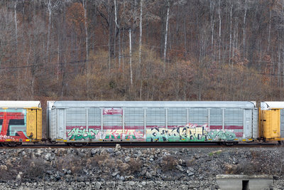 TTGX 705686