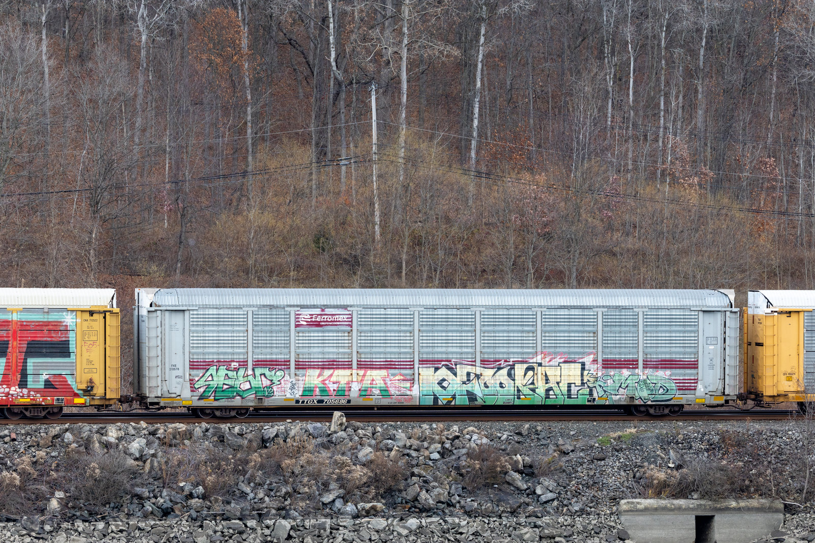TTGX 705686
