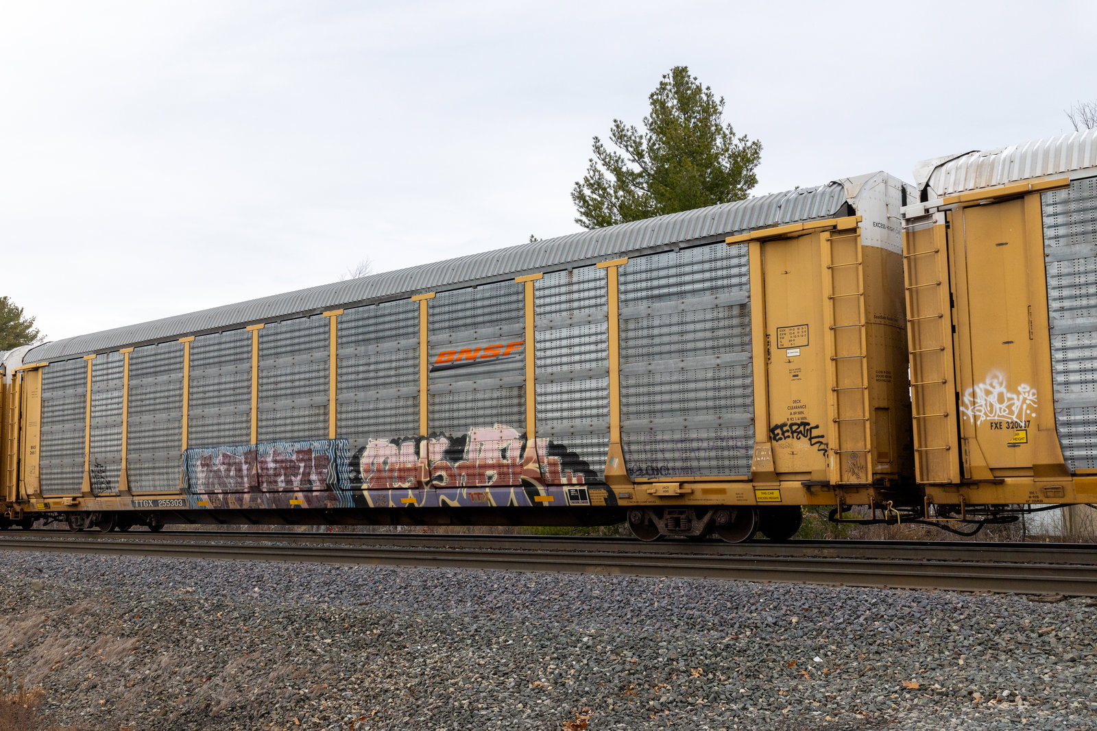 TTGX 255303