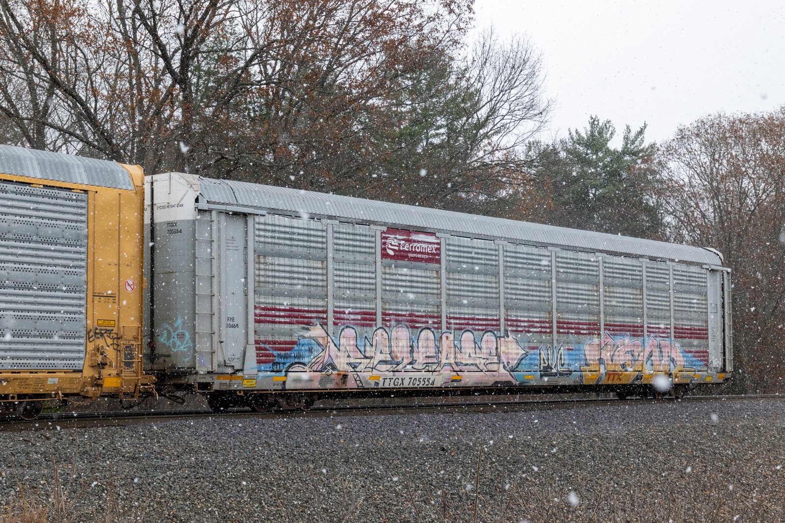 TTGX 705554