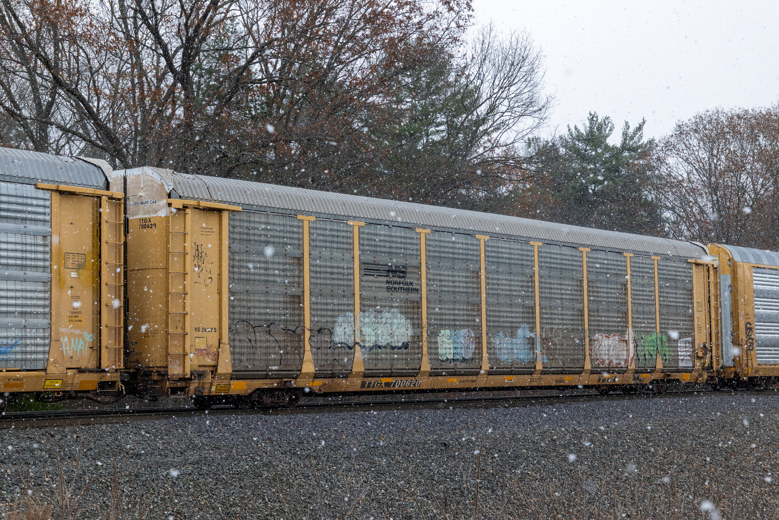 TTGX 700620