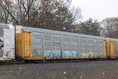 TTGX 703780